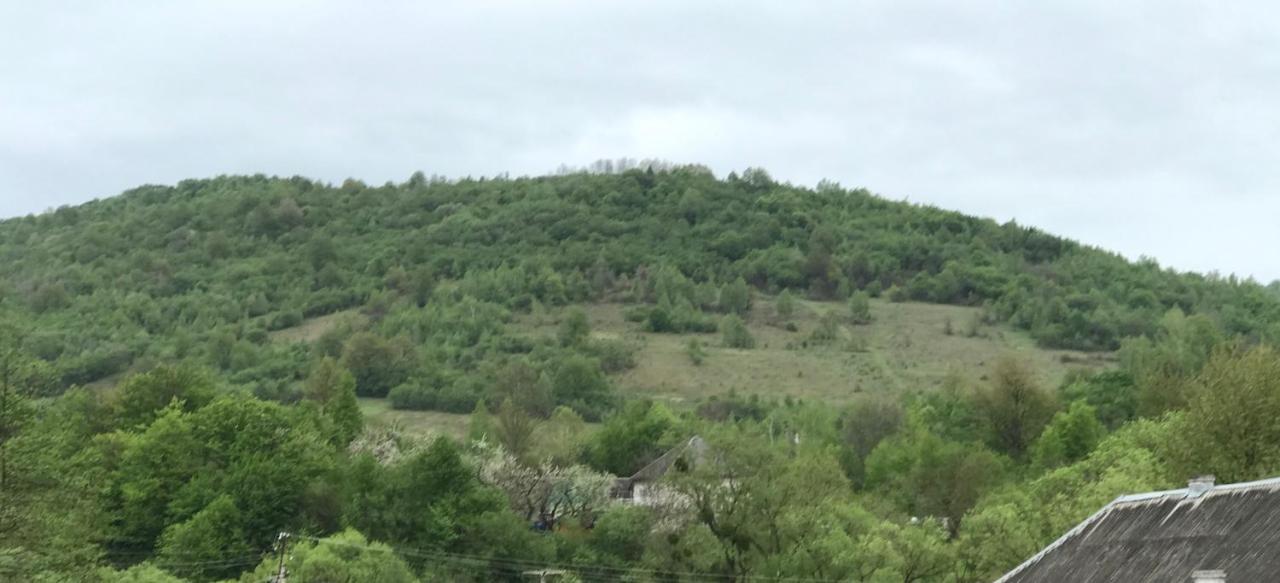Квітковий двір Golubinoye Экстерьер фото